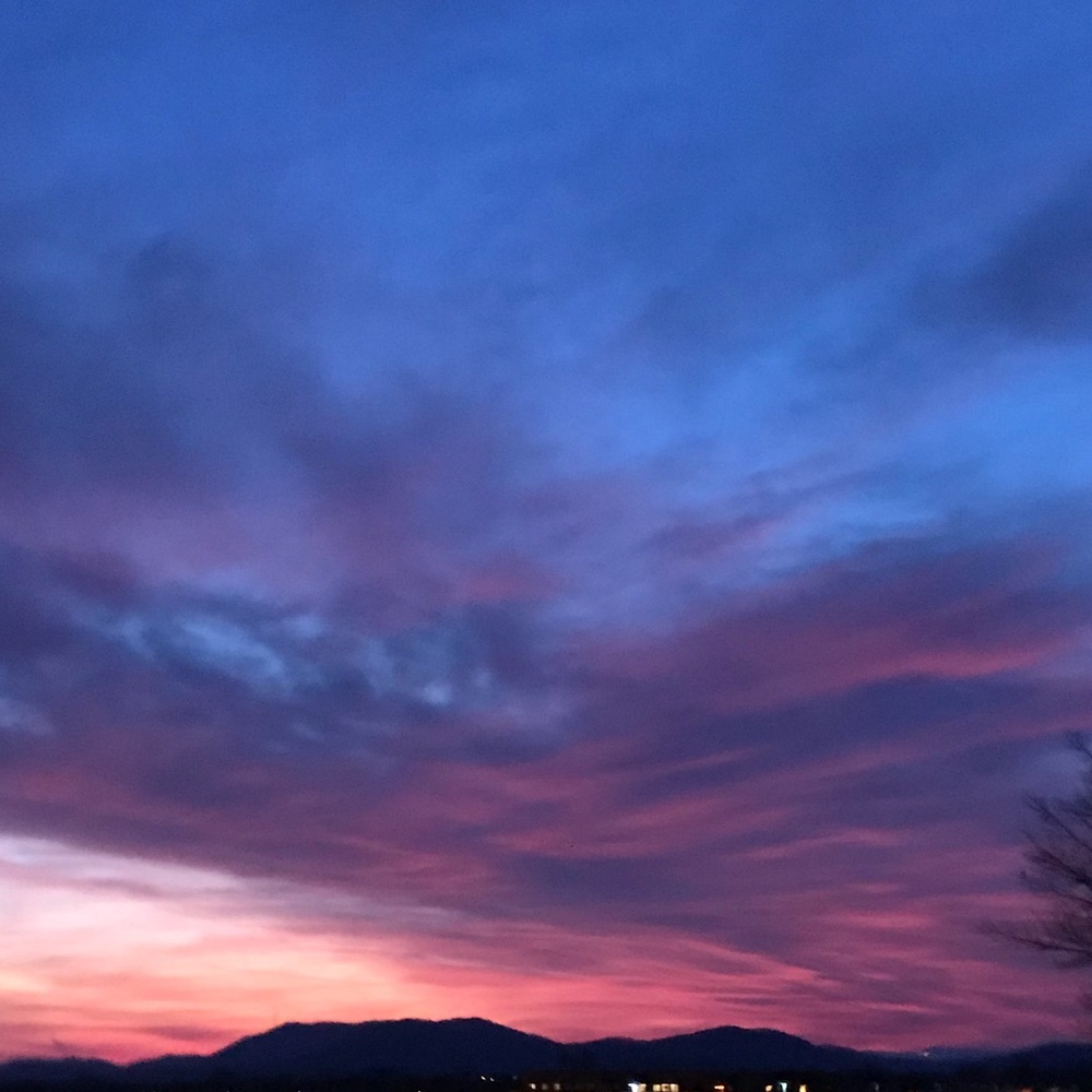 Meet your Posher, Isobel